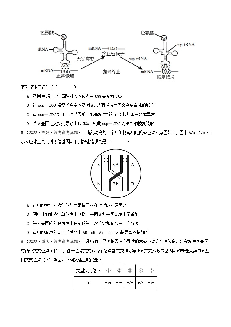 高考生物真题分项汇编 三年（2021-2023）（全国通用）专题10+变异与进化02