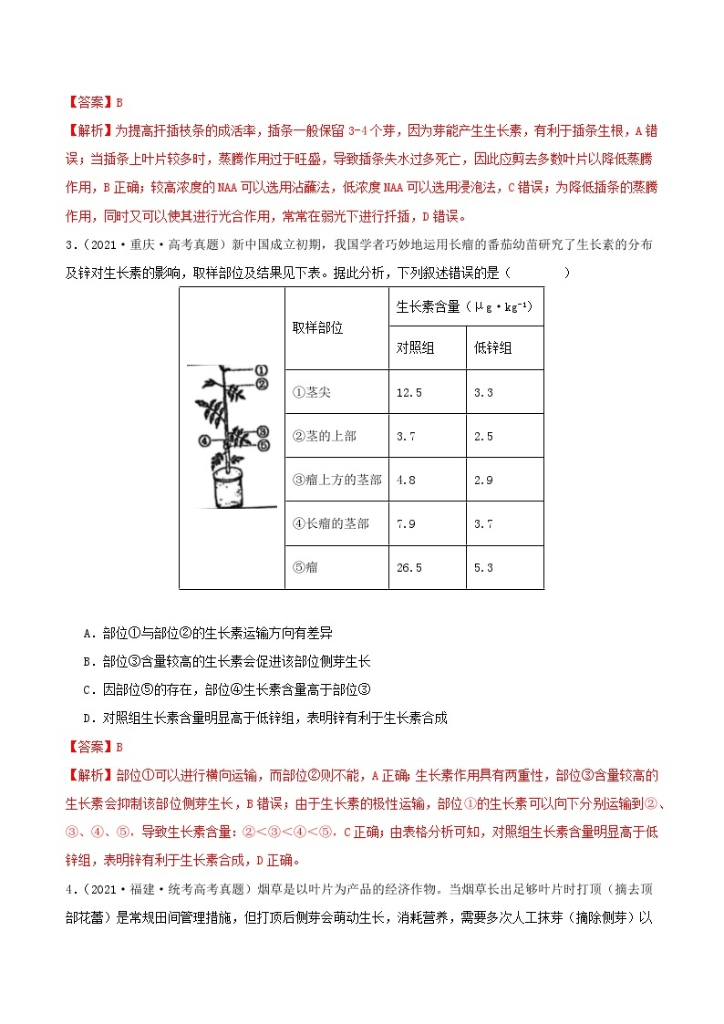 高考生物真题分项汇编 三年（2021-2023）（全国通用）专题15+植物生命活动调节02