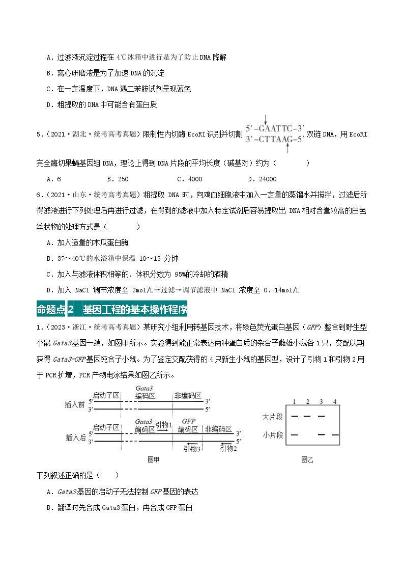 高考生物真题分项汇编 三年（2021-2023）（全国通用）专题20+基因工程02