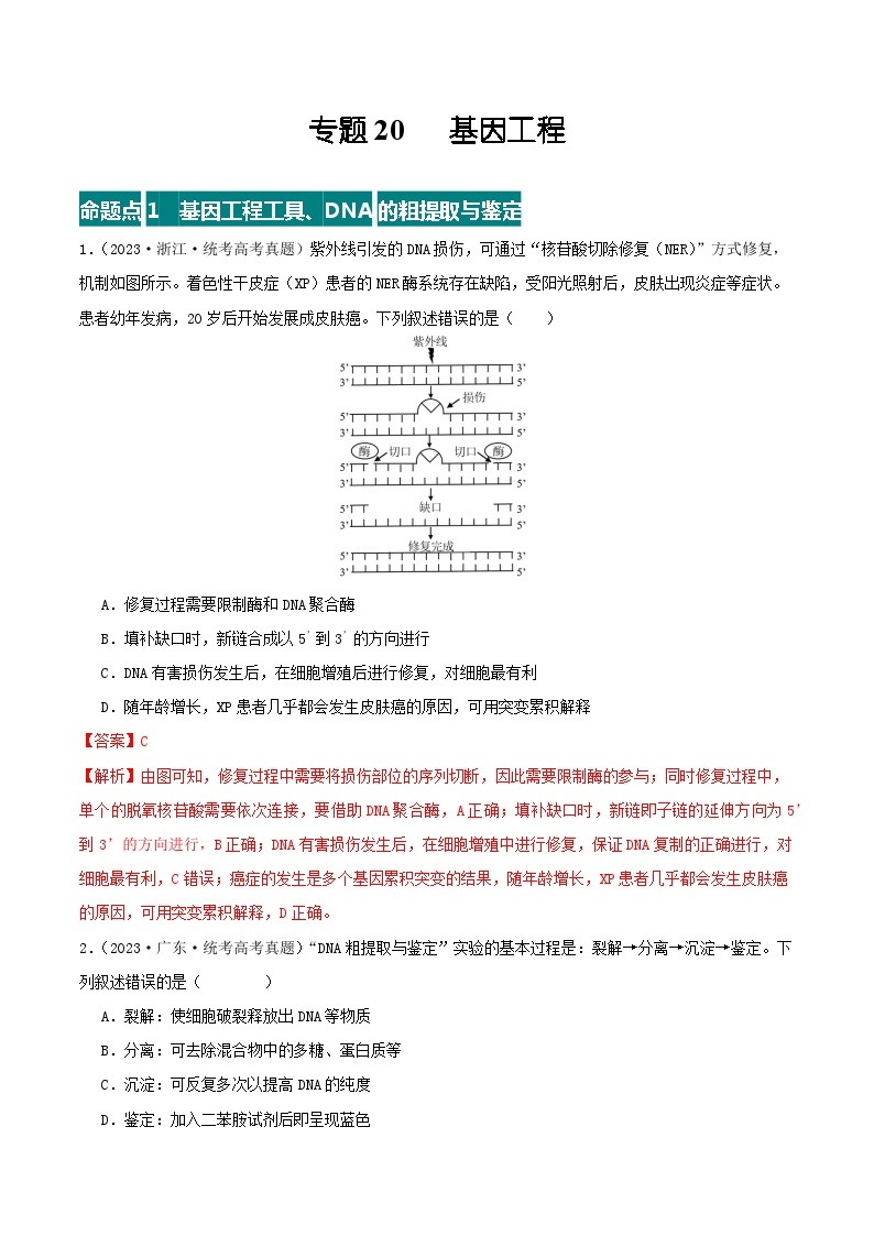 高考生物真题分项汇编 三年（2021-2023）（全国通用）专题20+基因工程01