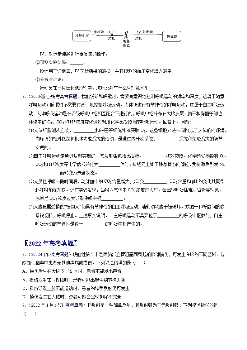 高考生物真题分项汇编(全国通用)五年(2019-2023)专题14 神经调节- 学易金卷:五年(2019-2023)高考生物真题分项汇编(全国通用)(原卷版)第3页
