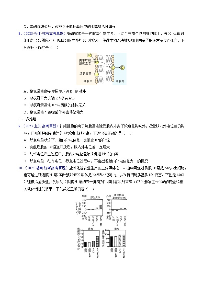 高考生物真题分项汇编（全国通用）五年（2019-2023）专题03 物质运输03