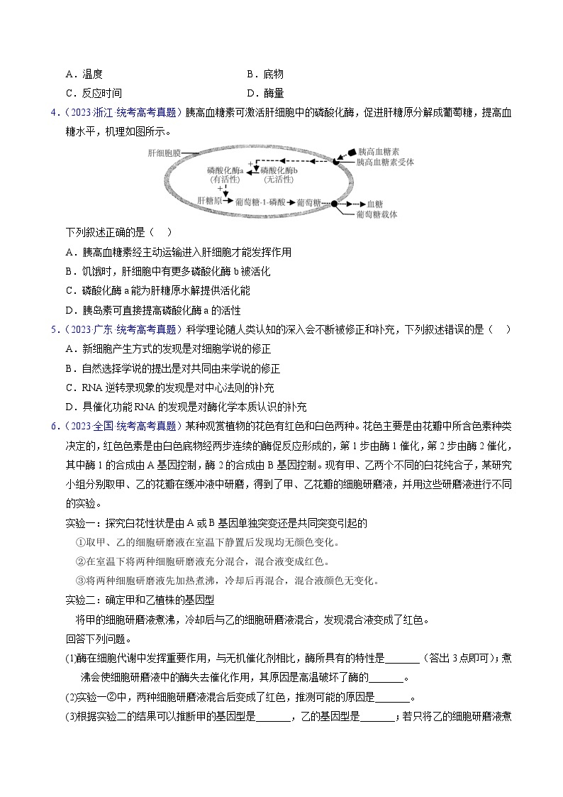 高考生物真题分项汇编（全国通用）五年（2019-2023）专题04 酶和ATP02