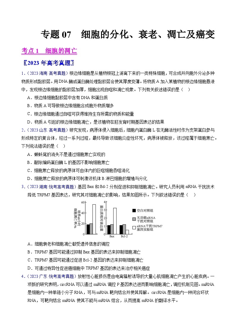 高考生物真题分项汇编（全国通用）五年（2019-2023）专题07 细胞的分化、衰老、凋亡及癌变01