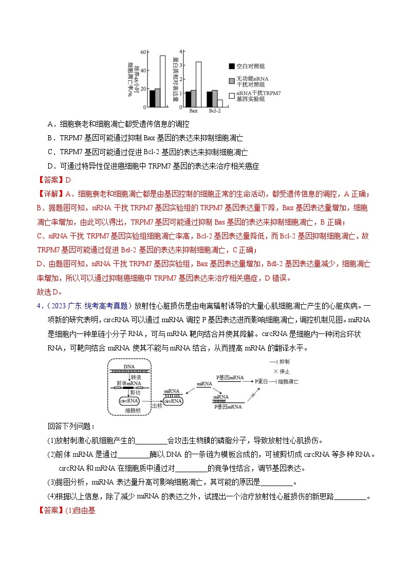 高考生物真题分项汇编（全国通用）五年（2019-2023）专题07 细胞的分化、衰老、凋亡及癌变02