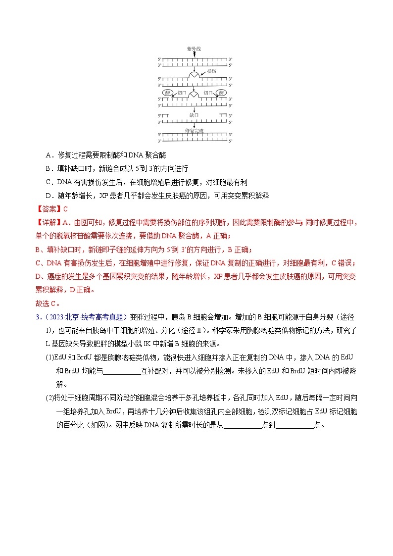 高考生物真题分项汇编（全国通用）五年（2019-2023）专题08 遗传的分子基础02