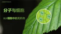 人教版 (2019)必修1《分子與細胞》第2章 組成細胞的分子第2節(jié) 細胞中的無機物優(yōu)質ppt課件