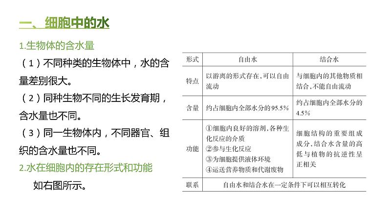 高中生物人教版(2019)必修1第二章2.2《细胞中的无机物》课件+同步练习03
