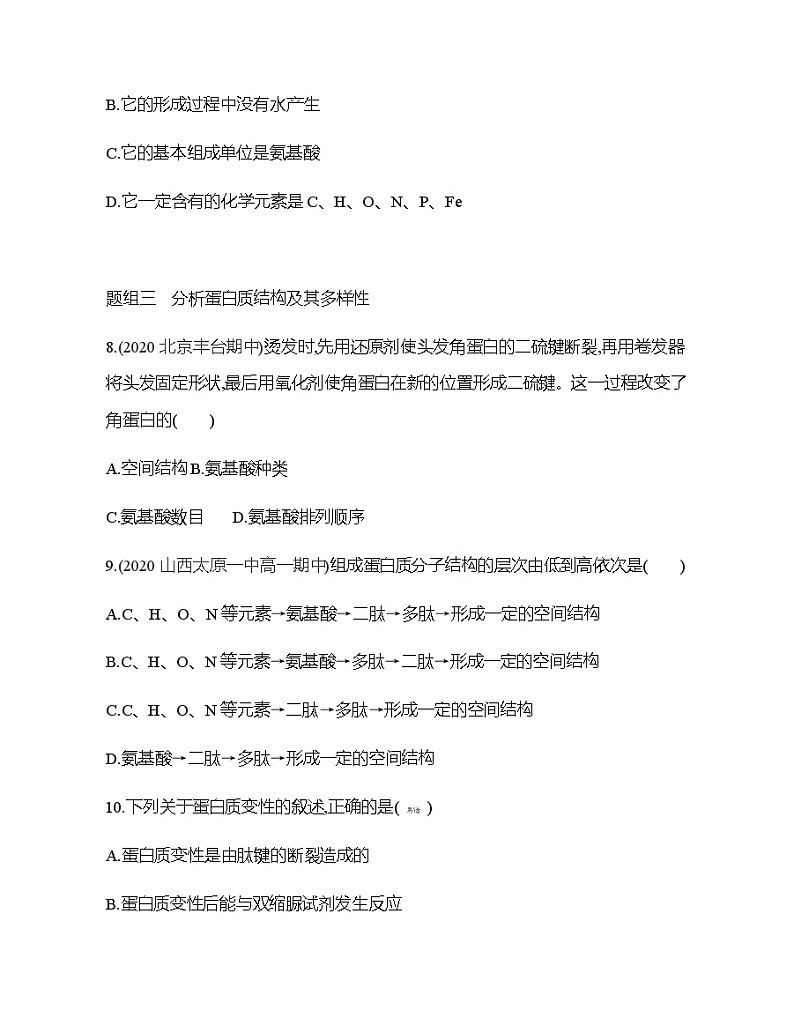 高中生物人教版(2019)必修1第二章2.4《蛋白质是生命活动的主要承担者》课件+同步练习03