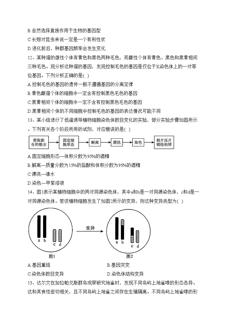 辽宁省部分高中2022-2023学年高一下学期期末联考生物试卷(含答案)第3页
