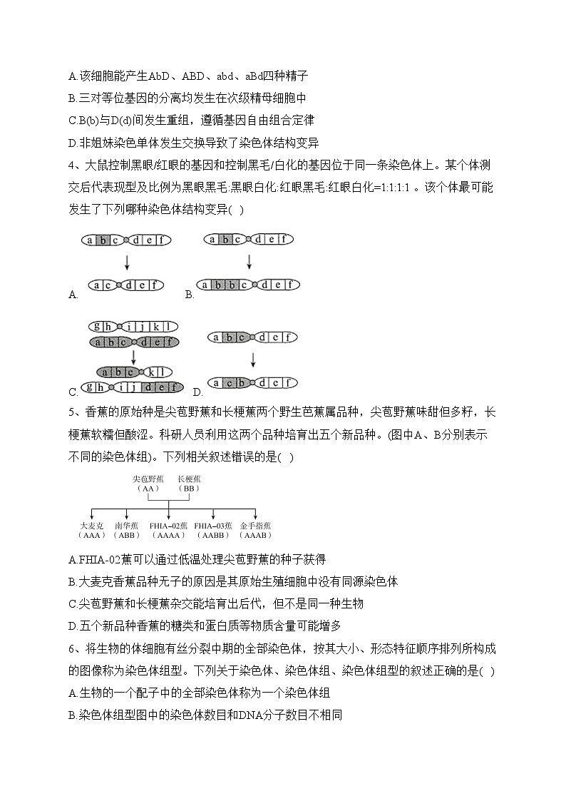安徽省马鞍山市第二中学2022-2023学年高二上学期期中考试生物试卷(含答案)02