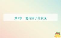 高中生物人教版 (2019)必修2《遺傳與進(jìn)化》第2節(jié) 孟德?tīng)柕耐愣闺s交實(shí)驗(yàn)(二)課文配套ppt課件