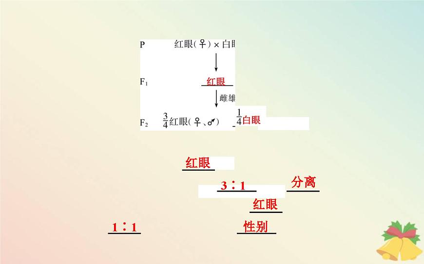 新教材2023高中生物第2章基因和染色體的關(guān)系第2節(jié)基因在染色體上課件新人教版必修2第7頁