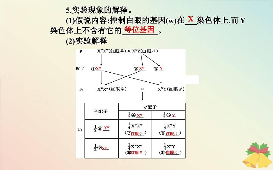 新教材2023高中生物第2章基因和染色體的關(guān)系第2節(jié)基因在染色體上課件新人教版必修2第8頁