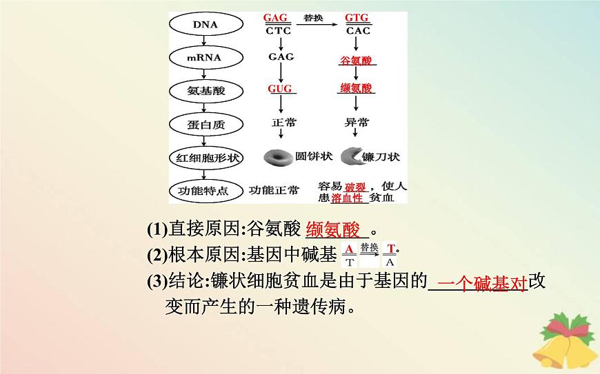 新教材2023高中生物第5章基因突變及其他變異第1節(jié)基因突變和基因重組課件新人教版必修2第4頁