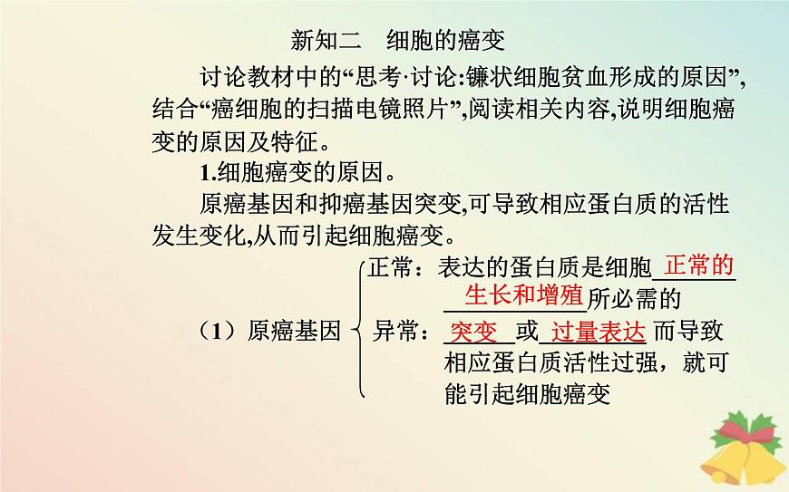 新教材2023高中生物第5章基因突變及其他變異第1節(jié)基因突變和基因重組課件新人教版必修2第6頁
