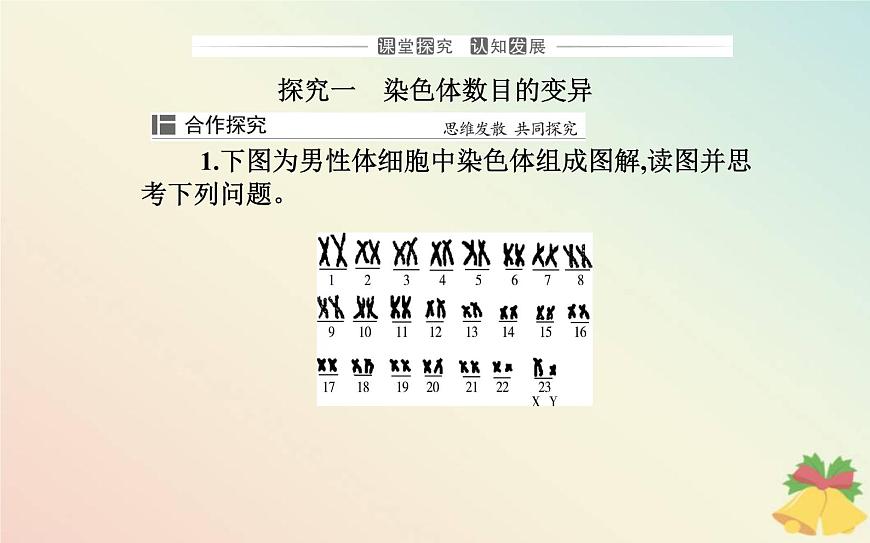 新教材2023高中生物第5章基因突變及其他變異第2節(jié)染色體變異課件新人教版必修2第8頁