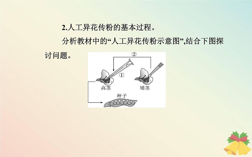 新教材2023高中生物第1章遺傳因子的發(fā)現(xiàn)第1節(jié)孟德?tīng)柕耐愣闺s交實(shí)驗(yàn)一課件新人教版必修2第4頁(yè)