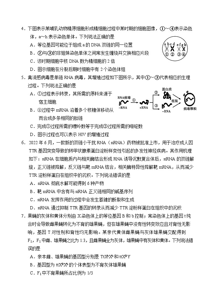 山东省威海市2022-2023高二下学期期末考试生物试卷+答案02