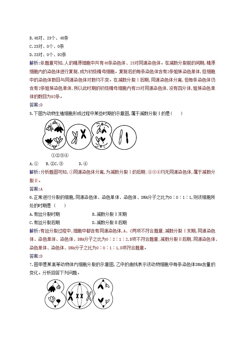 新教材2023高中生物第2章基因和染色体的关系第1节减数分裂和受精作用第1课时减数分裂同步测试新人教版必修202