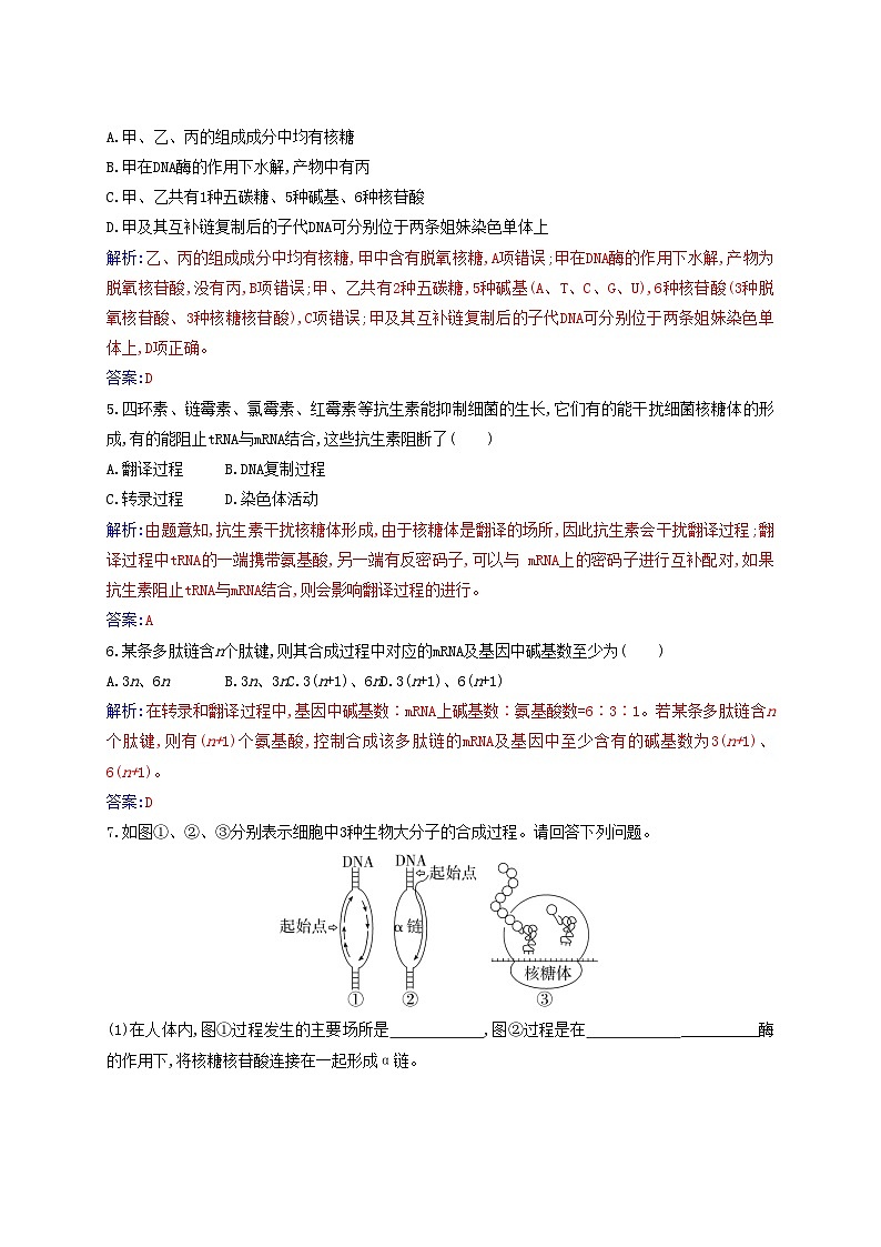 新教材2023高中生物第4章基因的表達(dá)第1節(jié)基因指導(dǎo)蛋白質(zhì)的合成同步測試新人教版必修2第2頁