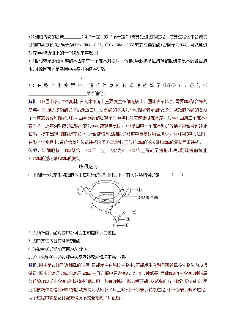 新教材2023高中生物第4章基因的表達(dá)第1節(jié)基因指導(dǎo)蛋白質(zhì)的合成同步測試新人教版必修2第3頁