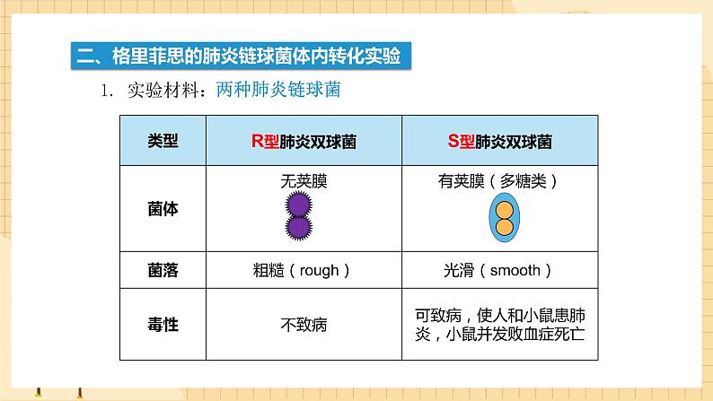 3.1 DNA是主要的遗传物质 课件 人教版生物必修2第4页