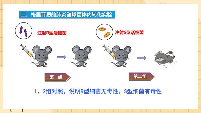 3.1 DNA是主要的遗传物质 课件 人教版生物必修2第5页
