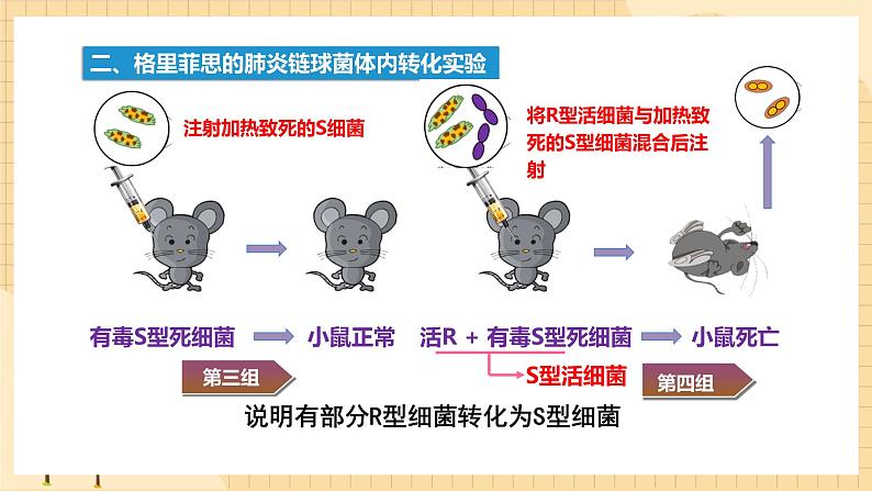 3.1 DNA是主要的遗传物质 课件 人教版生物必修2第6页