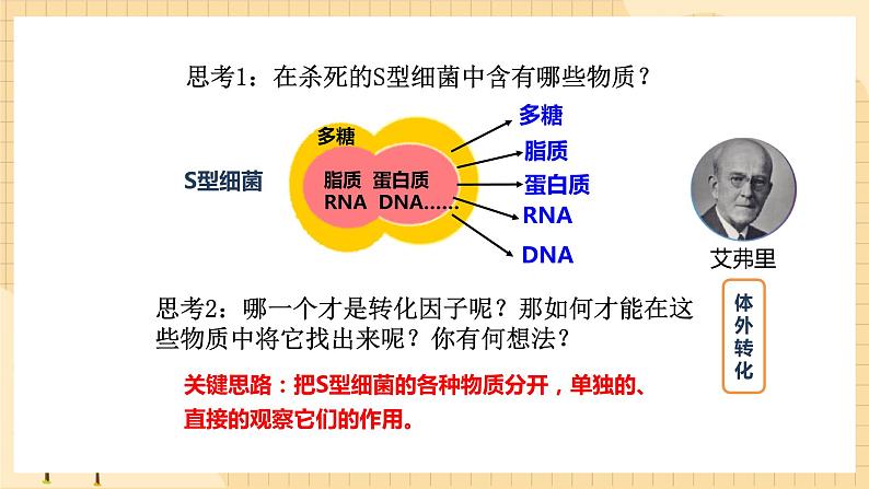 3.1 DNA是主要的遗传物质 课件 人教版生物必修2第8页
