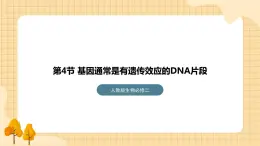 3.4 基因通常是有遗传效应的DNA片段 课件 人教版生物必修2