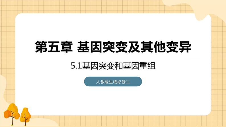 5.1 基因突变和基因重组 课件 人教版生物必修201