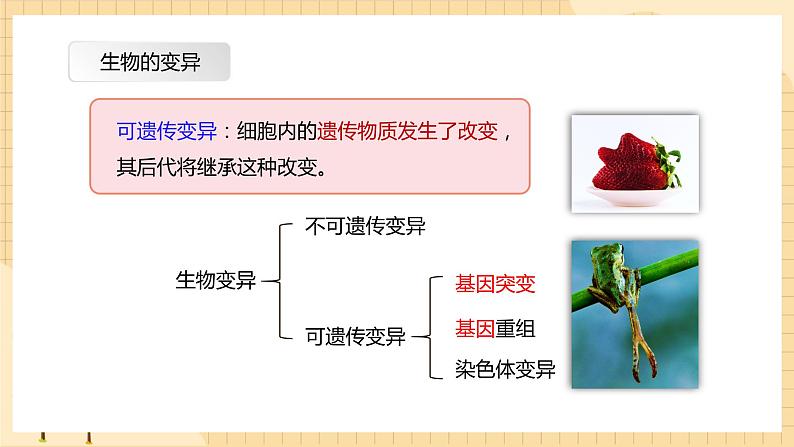 5.1 基因突变和基因重组 课件 人教版生物必修205