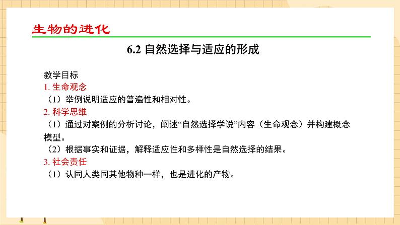 6.2 自然选择与适应的形成 课件 人教版生物必修202