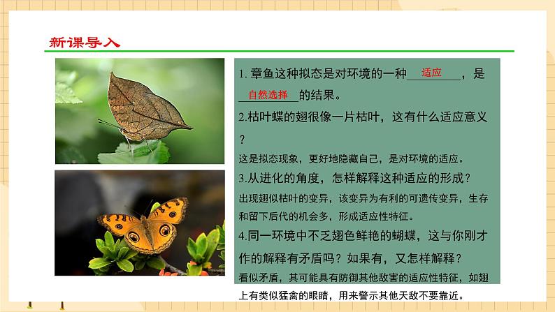 6.2 自然选择与适应的形成 课件 人教版生物必修204