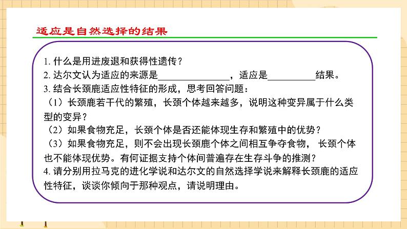 6.2 自然选择与适应的形成 课件 人教版生物必修206