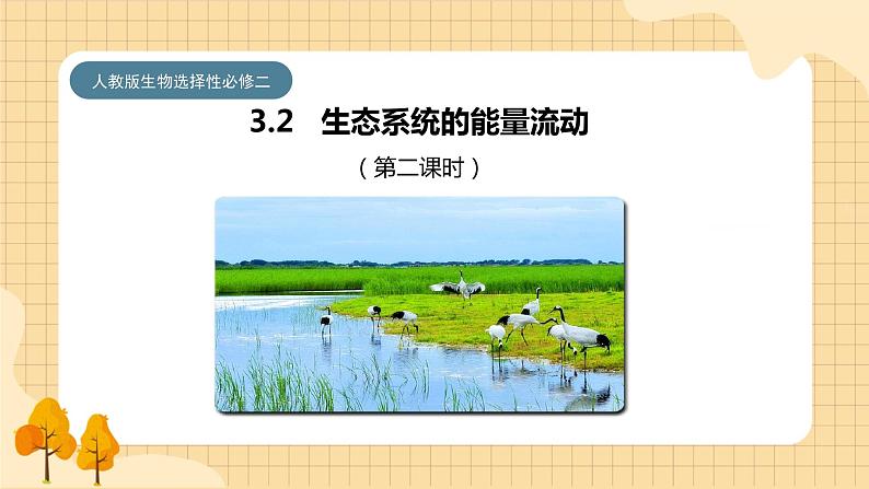 3.2 生态系统的能量流动(第二课时) 课件 人教版生物选择性必修201