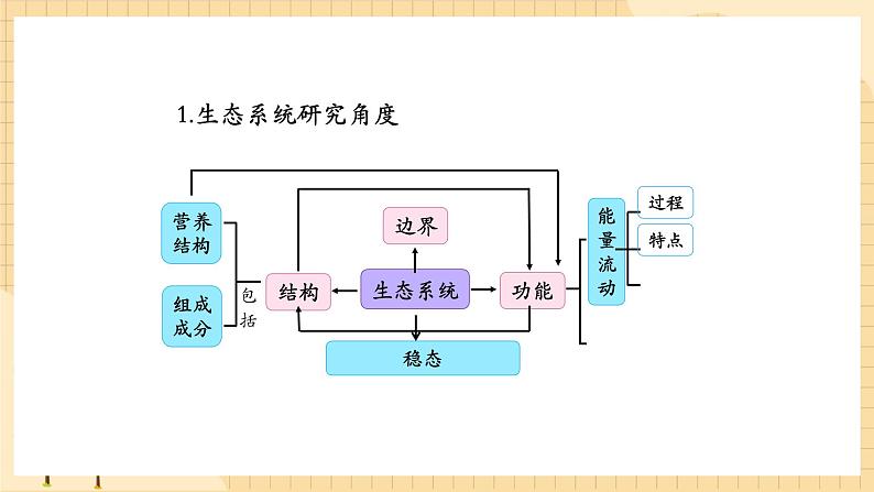 3.2 生态系统的能量流动(第二课时) 课件 人教版生物选择性必修202