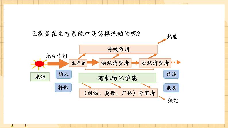 3.2 生态系统的能量流动(第二课时) 课件 人教版生物选择性必修203