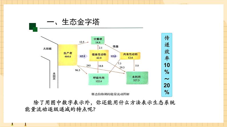 3.2 生态系统的能量流动(第二课时) 课件 人教版生物选择性必修204