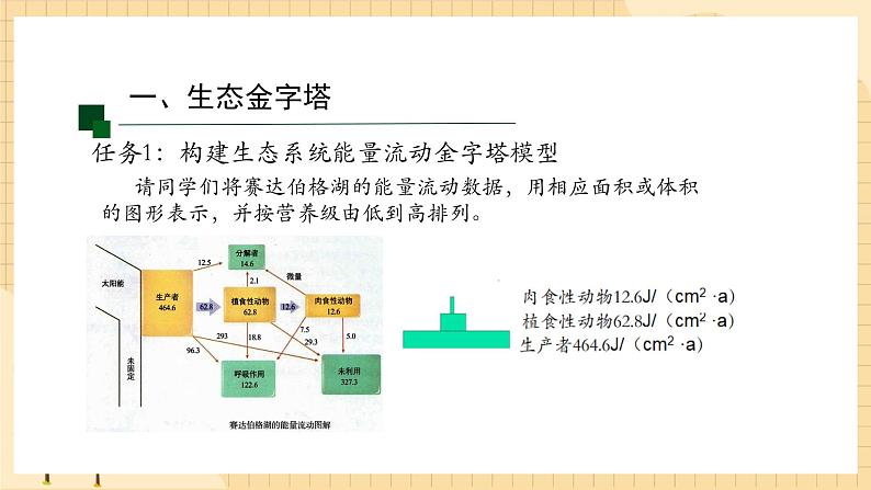 3.2 生态系统的能量流动(第二课时) 课件 人教版生物选择性必修205