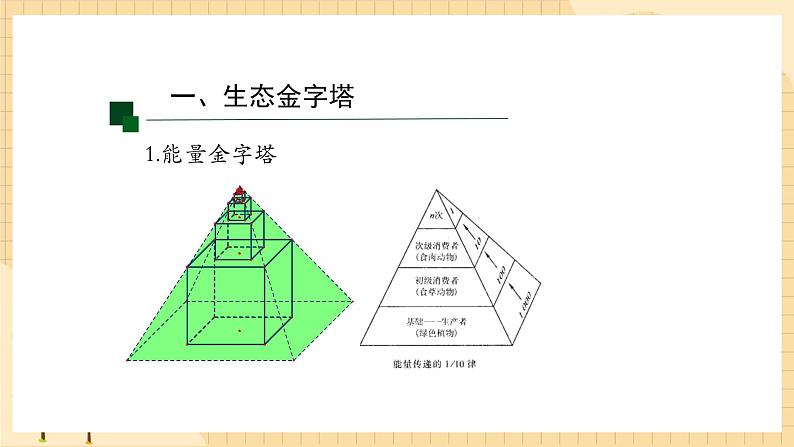 3.2 生态系统的能量流动(第二课时) 课件 人教版生物选择性必修206