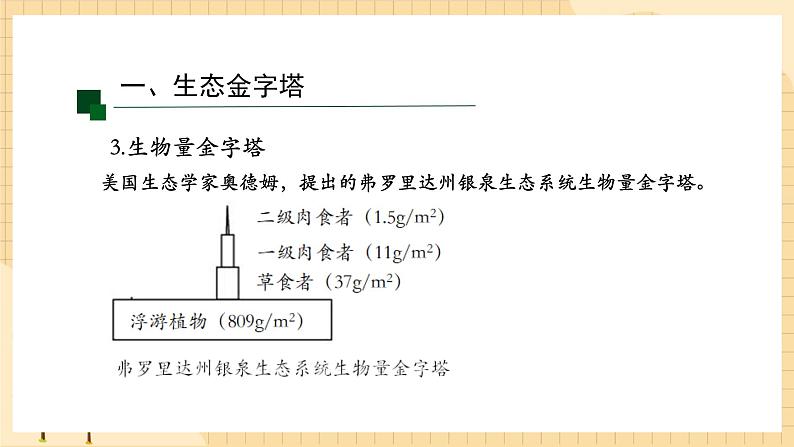 3.2 生态系统的能量流动(第二课时) 课件 人教版生物选择性必修208