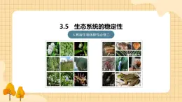 3.5 生态系统的稳定性  课件 人教版生物选择性必修2