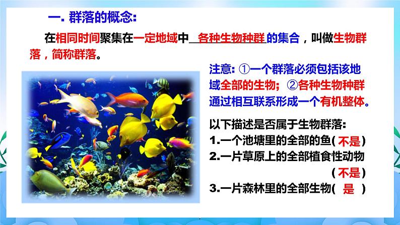 2.1群落的结构 课件 人教版生物选择性必修2(第1课时) 课件 人教版生物选择性必修202