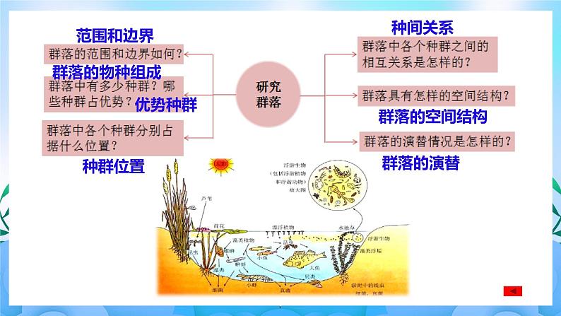 2.1群落的结构 课件 人教版生物选择性必修2(第1课时) 课件 人教版生物选择性必修204