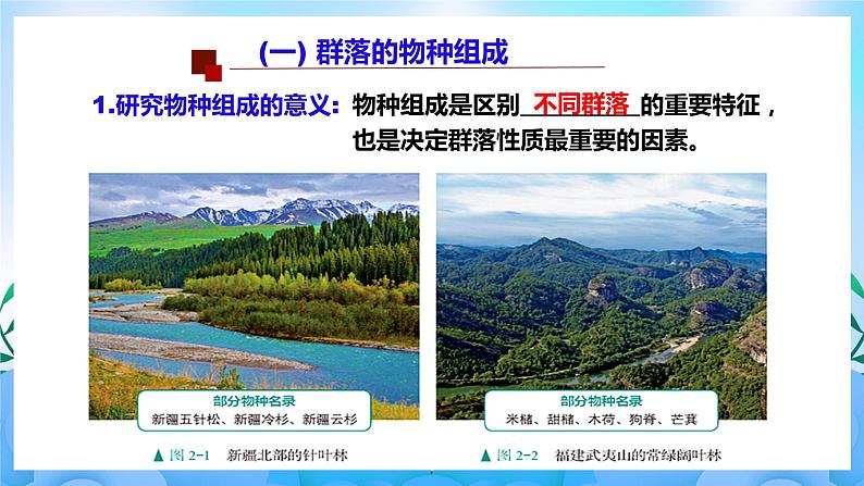2.1群落的结构 课件 人教版生物选择性必修2(第1课时) 课件 人教版生物选择性必修206