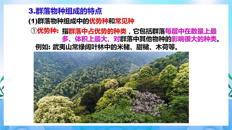 2.1群落的结构 课件 人教版生物选择性必修2(第1课时) 课件 人教版生物选择性必修208