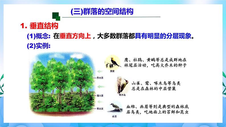 2.1群落的结构 课件 人教版生物选择性必修2(第2课时) 课件 人教版生物选择性必修203