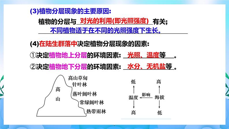 2.1群落的结构 课件 人教版生物选择性必修2(第2课时) 课件 人教版生物选择性必修204
